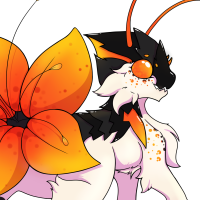Thumbnail for ISO-823: Tiger Lily
