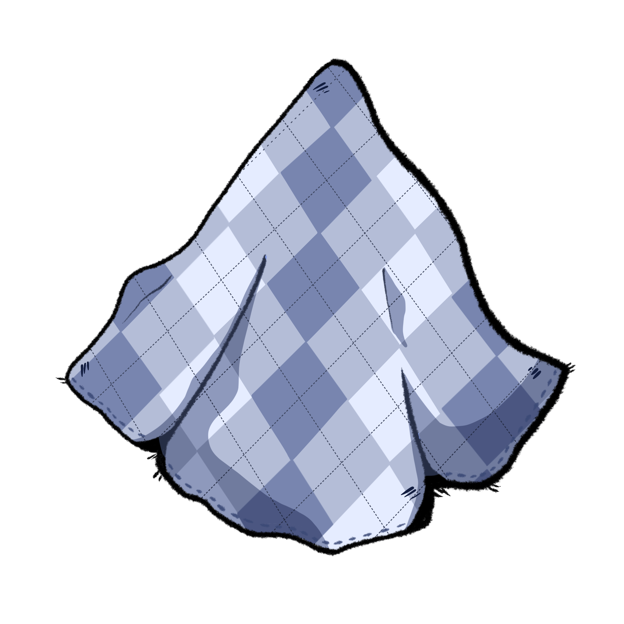 Cloth