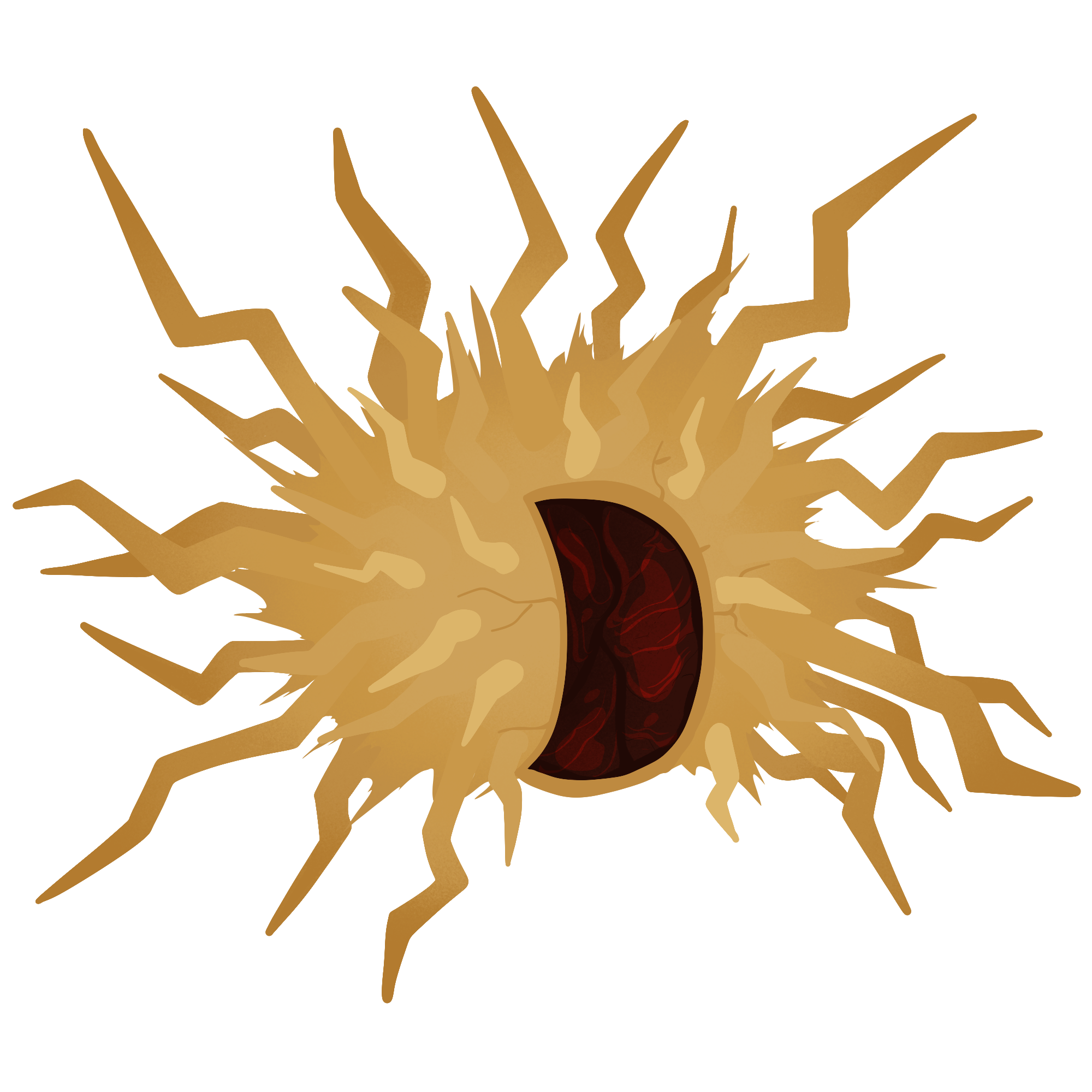 Zap Urchin Meat